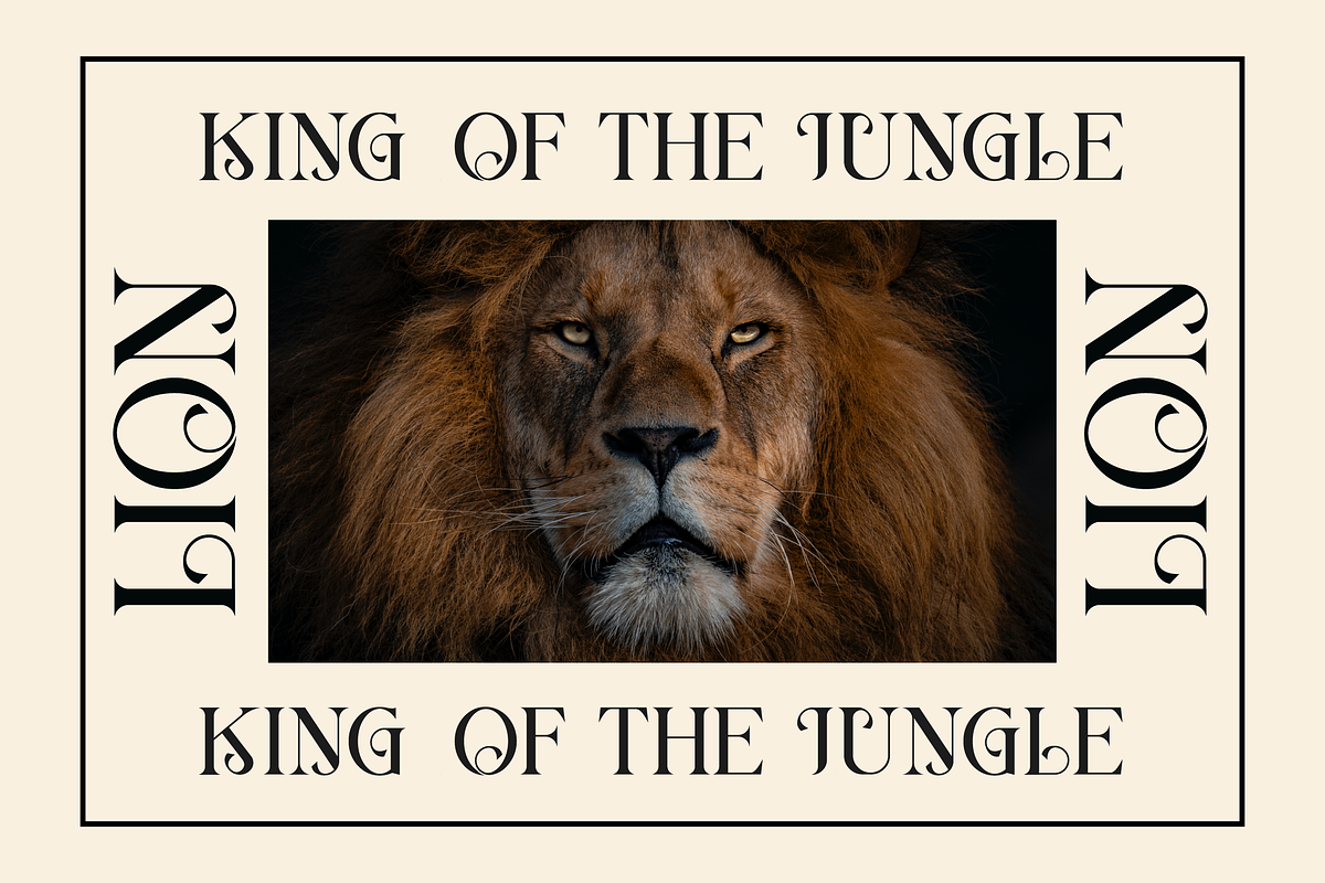 Berang Berang Serif Display Font, a Serif Font by Maryamtype Studio (Photo 6 of 15)