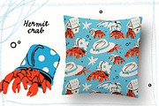 Hermit crab, an Animal Illustration by Twisted Tail (Thumbnail 5 of 5)