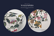Exótica, Luxury Pattern design!, a Pattern Graphic by TSTUDIO (Thumbnail 12 of 14)