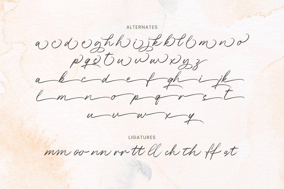 Alesandra Handbrush Script, a Script Font by Creatype Studio (Photo 7 of 10)
