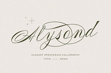 Alysond - Spencerian Script