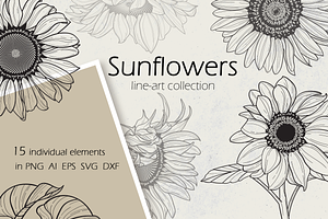 Sunflower line art collection