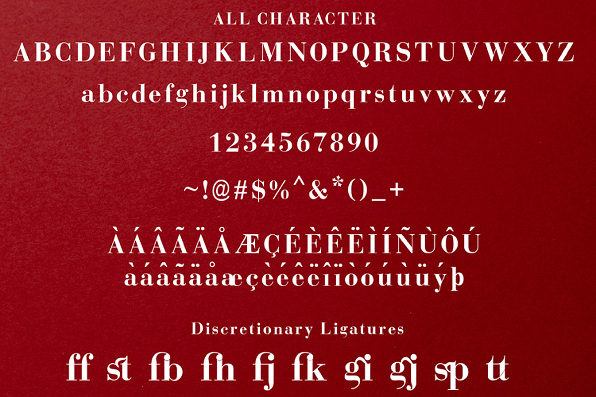 Dolittle, a Serif Font by edcreative (Photo 6 of 7)