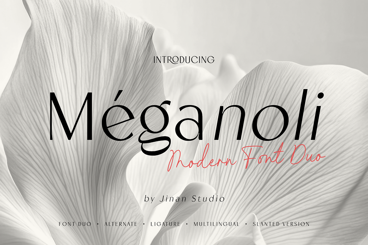 Meganoli - A Modern Font Duo, a Sans Serif Font by Ainun Jinan (Photo 1 of 13)