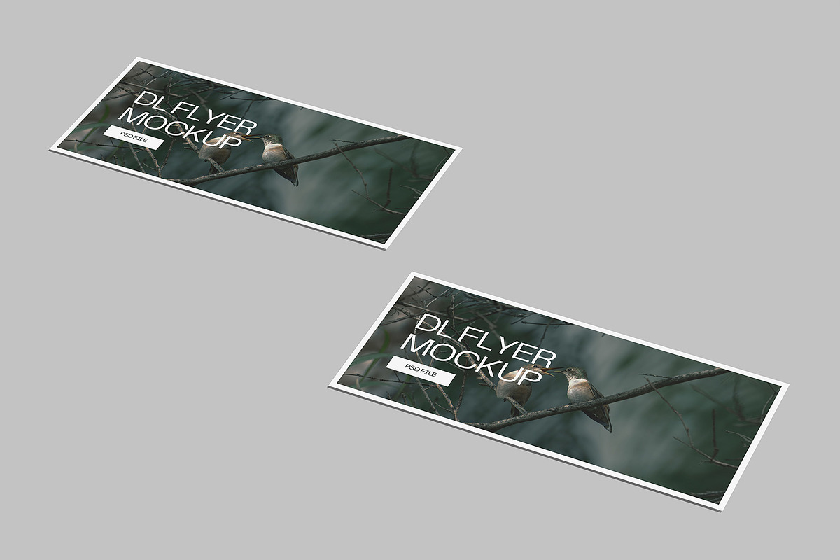 Landscape DL Flyer Mockup, a Print Template by Graphiculon (Photo 13 of 13)