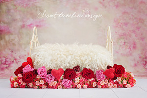 Newborn Photography Digital Backdrop