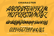 Flicktoy - Brush Script Font, a Script Font by Letterhend Studio (Thumbnail 8 of 9)