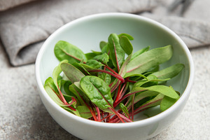 Freshly cut microgreens of red chard in a bowl, ready for health, a Food & Drink Photo by Olena Rudo