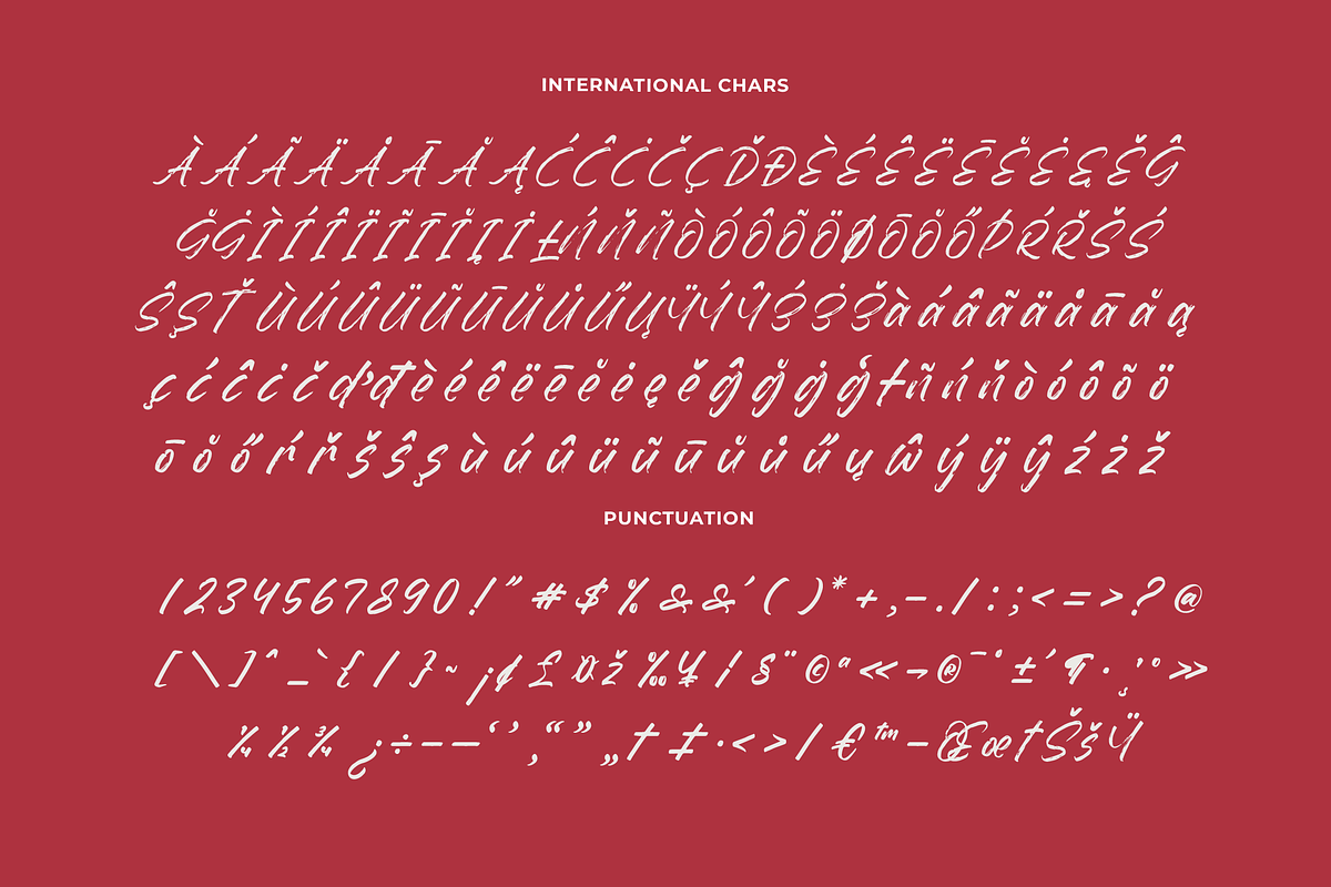 Dummy Catidays Handwritten Brush, a Script Font by Letterena Studios Script (Photo 14 of 20)