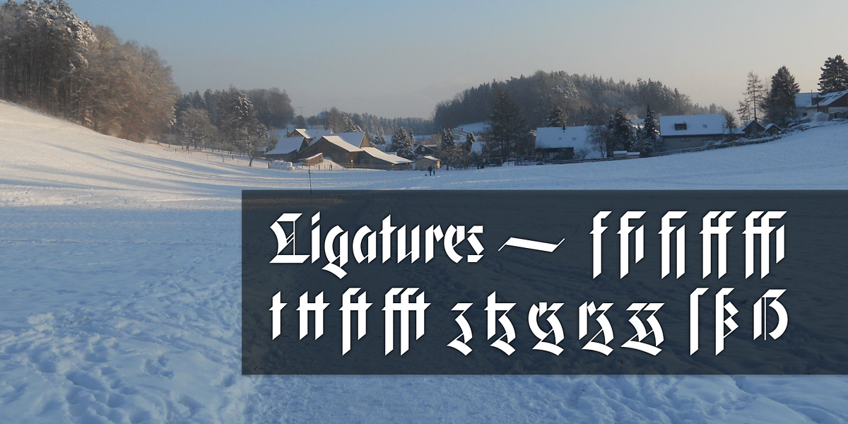 Gryffensee, a Blackletter Font by Catharsis Fonts (Photo 5 of 9)