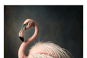 Biwi Collection · Majestic Birds, a Texture Illustration by milatovar (Thumbnail 4 of 17)