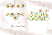 Narcissus mood & little things, an Illustration by WatercolorAnn (Thumbnail 10 of 11)