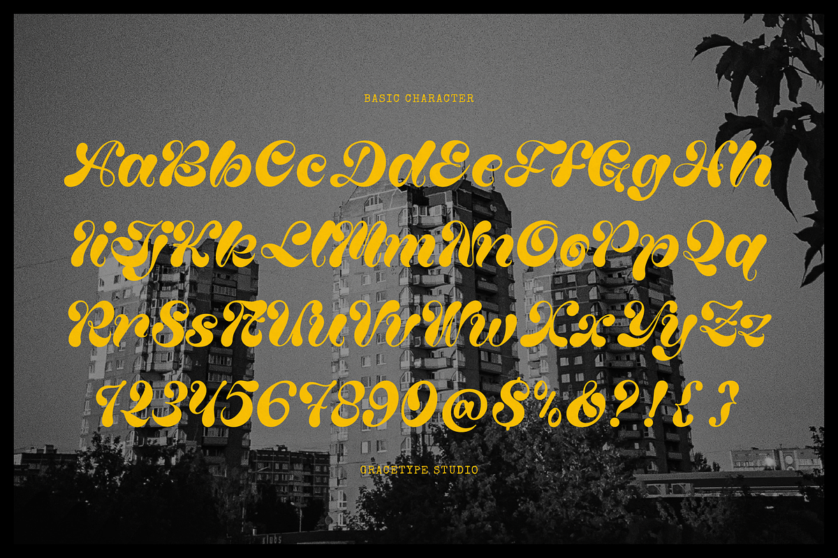 Lucky Wonky | Bold Script Font, a Script Font by gracetype_studio (Photo 10 of 12)