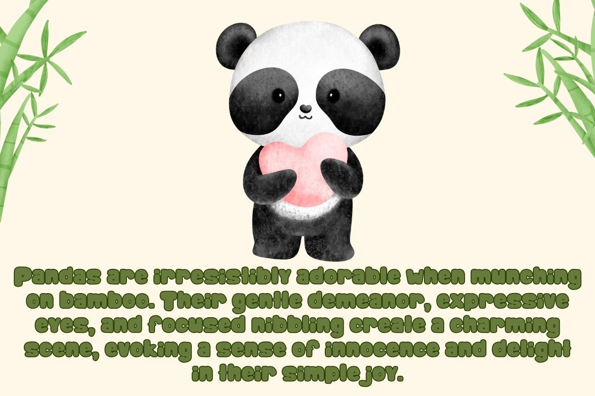 Happy Bamboo - Handwritting, a Blackletter Font by Charmingbear59.design (Photo 4 of 5)