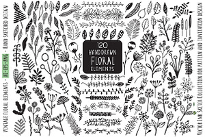 Hand drawn Floral Clipart Collection