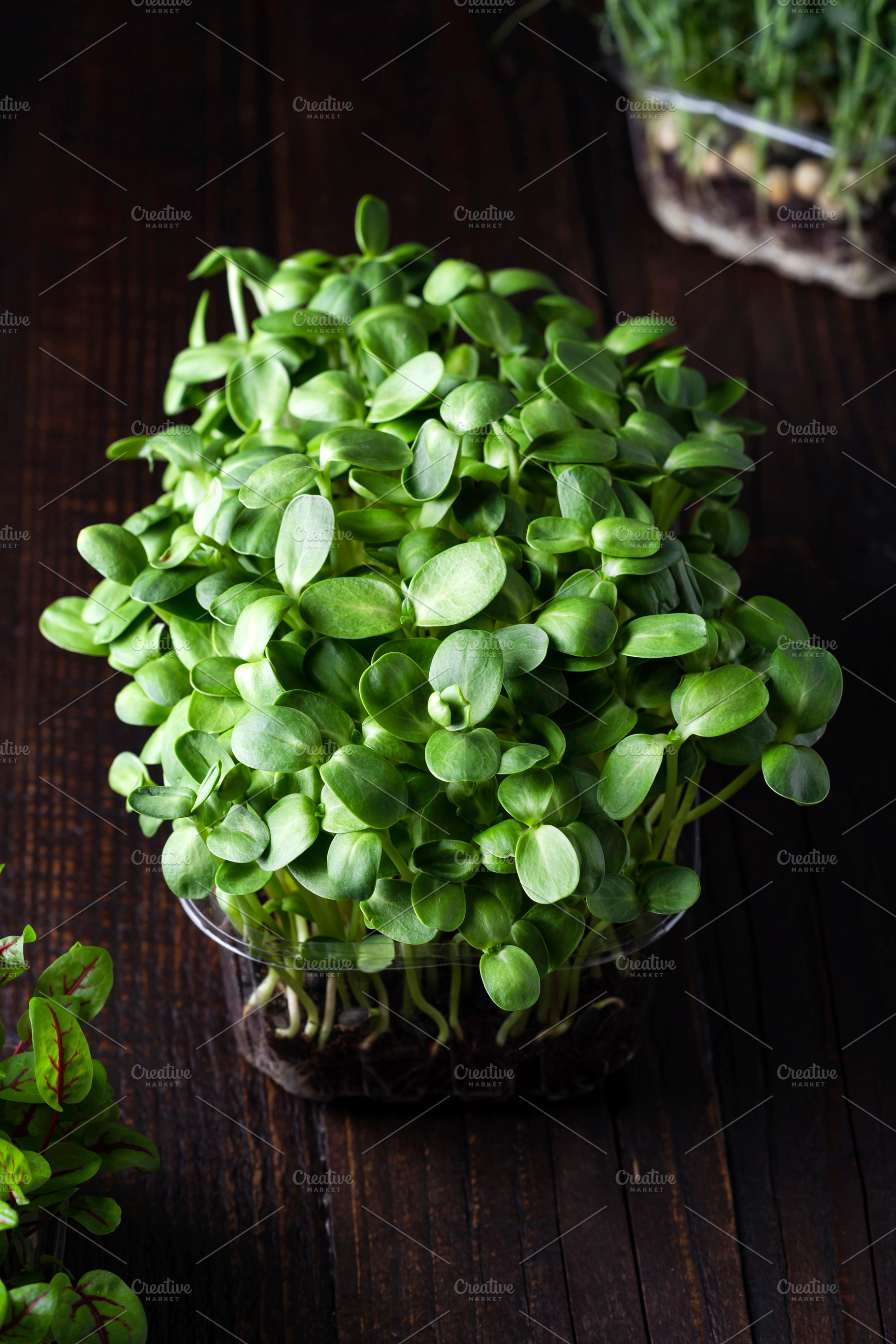 fresh different organic microgreens, a Food & Drink Photo by Marina_Pronina