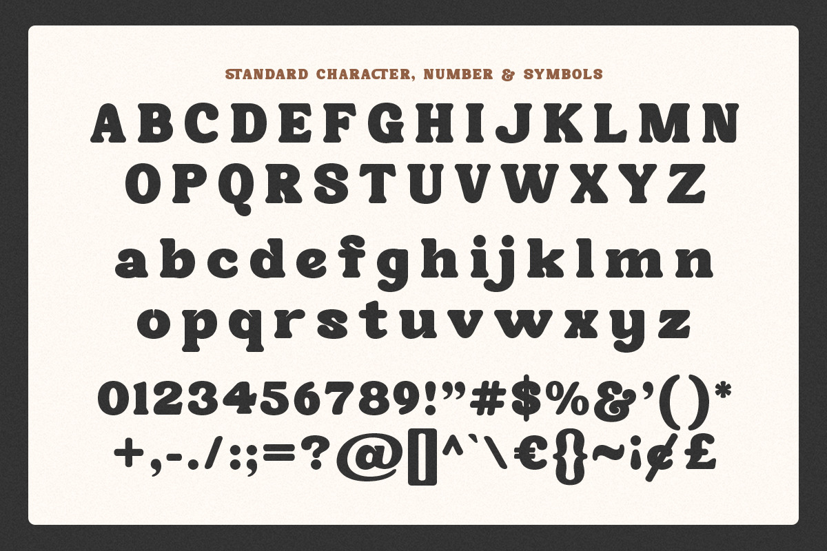 SKR - Tropical Paradise, a Serif Font by Shakira Studio (Photo 9 of 10)