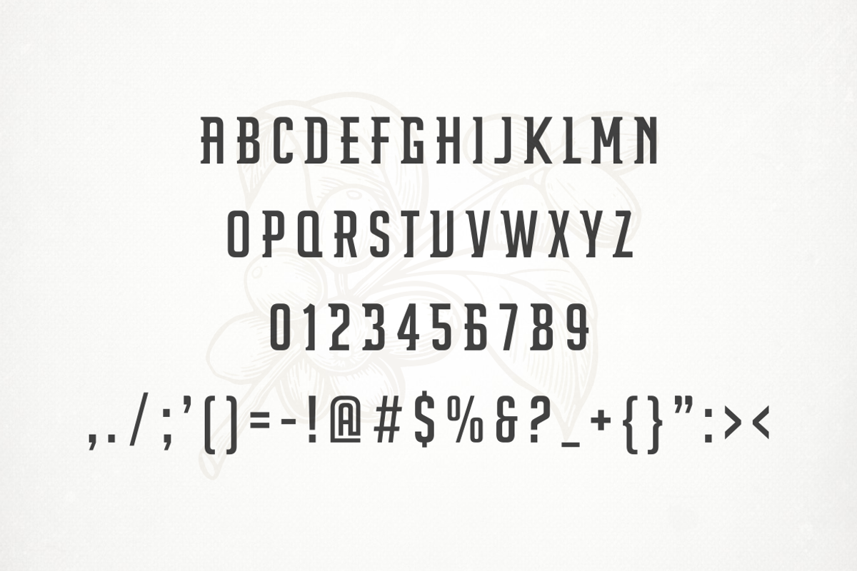 Darlothes, a Serif Font by albert_kalingga (Photo 4 of 5)