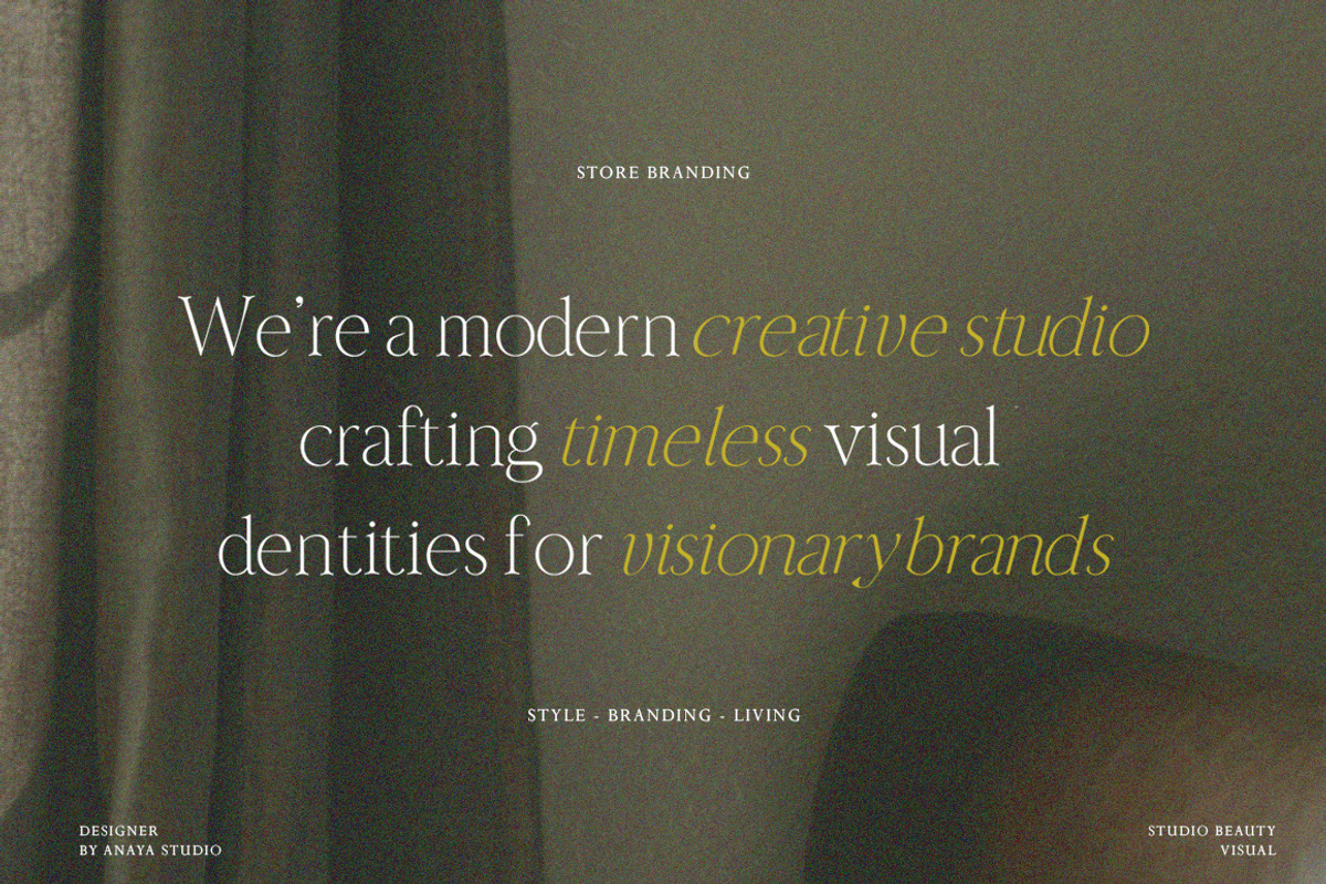 Nailong Lifemore, a Serif Font by AnayaStudio (Photo 3 of 10)