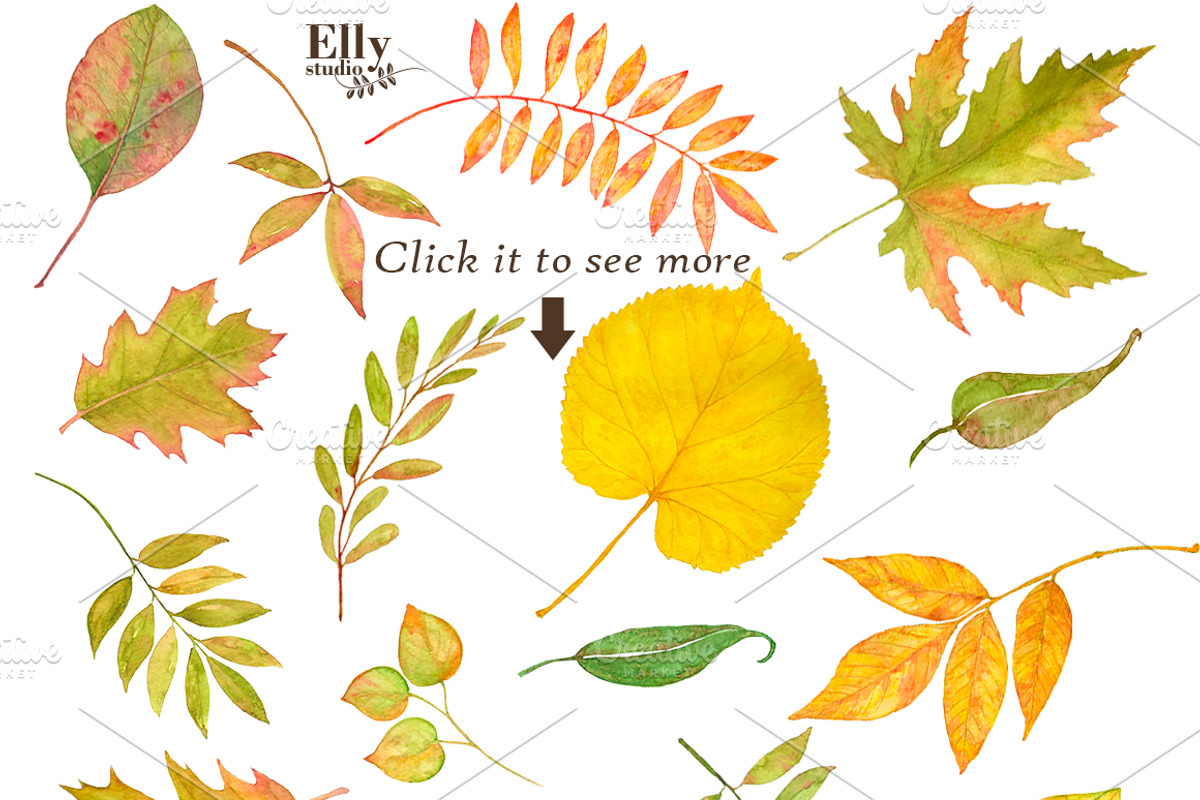 Watercolor autumn leaves clip art, an Illustration by Elly Studio (Photo 2 of 3)