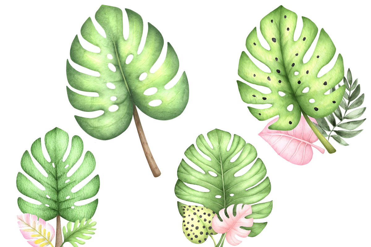 Watercolor Tropical Animals Clipart, an Illustration by Designworld (Photo 3 of 5)