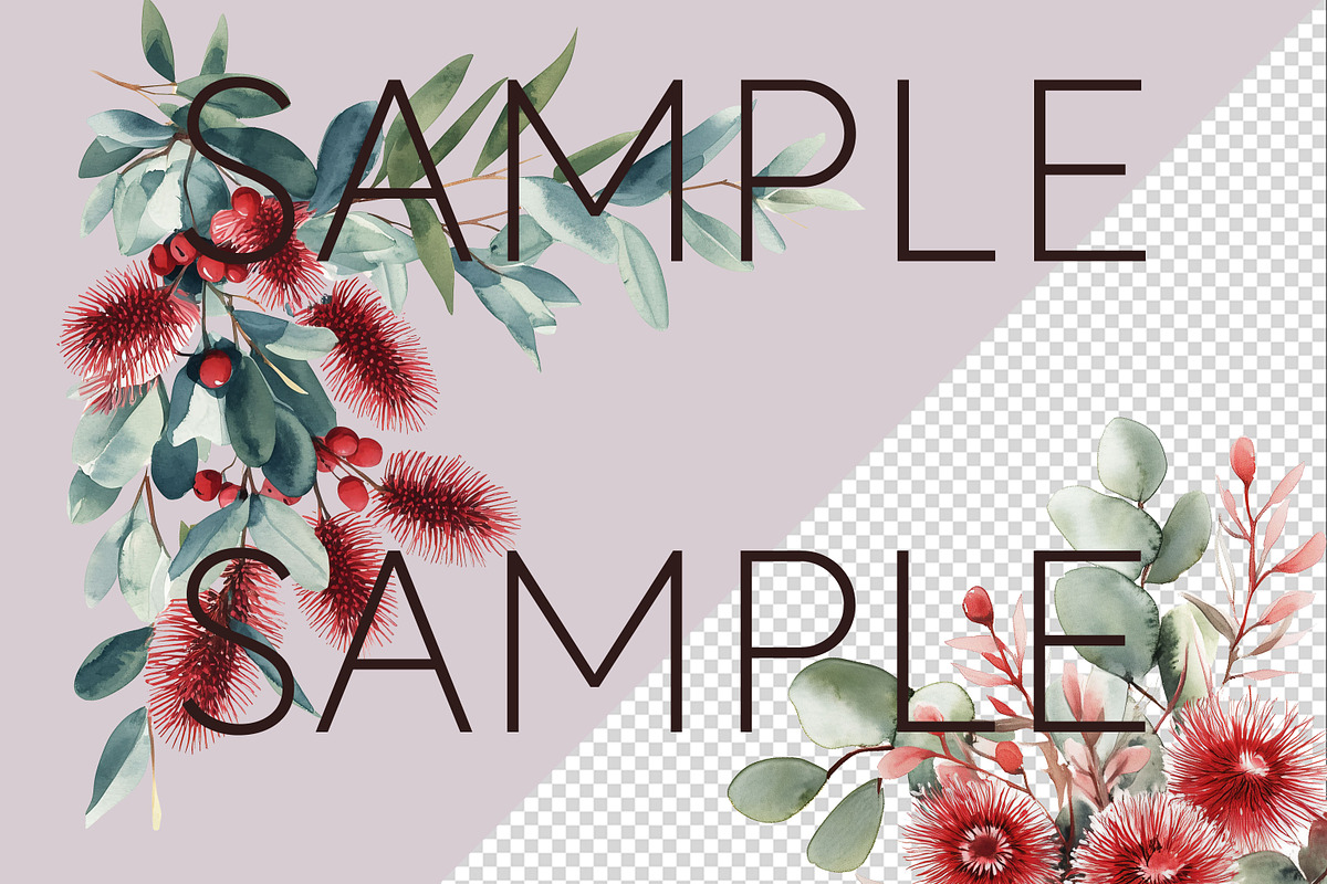 Australian Watercolur Flowers Mega, a Decorative Illustration by Pawcasso's Portraits (Photo 7 of 10)