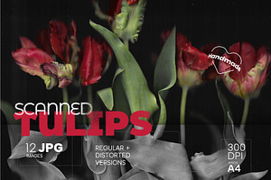Scanned Tulip Photocopies