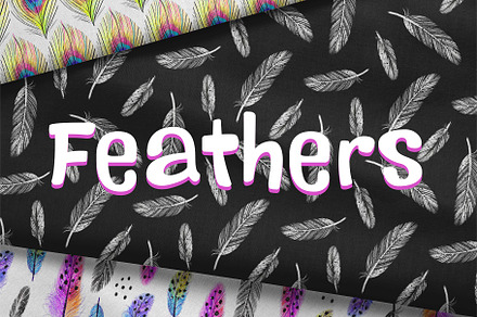 Feathers Pattern Collection