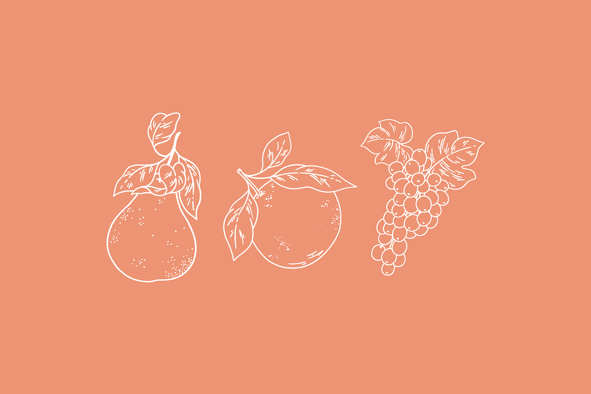 Fruit Garden Vector Illustrations, a Decorative Illustration by Emma Webb Studio (Photo 5 of 7)