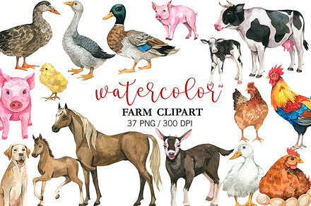 Watercolor Farm animals clipart, PNG, an Animal Illustration by PatternPalette