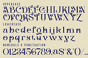 COVERS SHORES - ROMANTIC FONT, a Serif Font by 177Studio (Thumbnail 7 of 8)