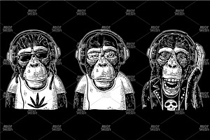 Monkeys In Headphones. Hipster With