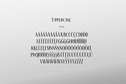 The Racoon Quest, a Serif Font by Roland Huse Design (Thumbnail 3 of 7)