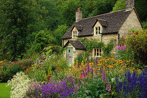 Traditional English stone cottage with colorful blooming cottage, a Photo by Studio ANNA