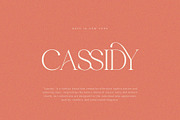 Metagana – Modern Display Serif Font, a Serif Font by BrandSemut (Thumbnail 5 of 8)