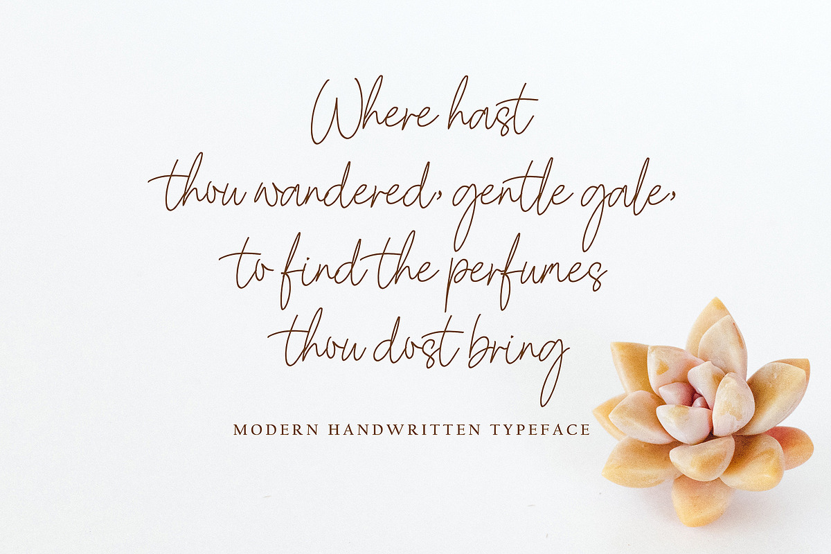 Paullina, a Script Font by pineungtype (Photo 2 of 9)