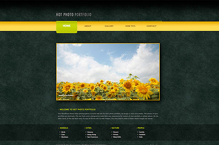 Hot Photo Portfolio, a WordPress Template by hot-themes