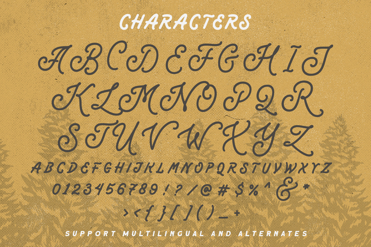 Mountain Warrior - Monoline Script, a Script Font by Letterhend Studio (Photo 8 of 9)