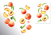 Honey Peaches. Original Watercolor, a Food Illustration by Daria Ustiugova (Thumbnail 8 of 21)