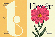Aquitha || Elegant Serif Font, a Serif Font by Idea Studio (Thumbnail 4 of 10)