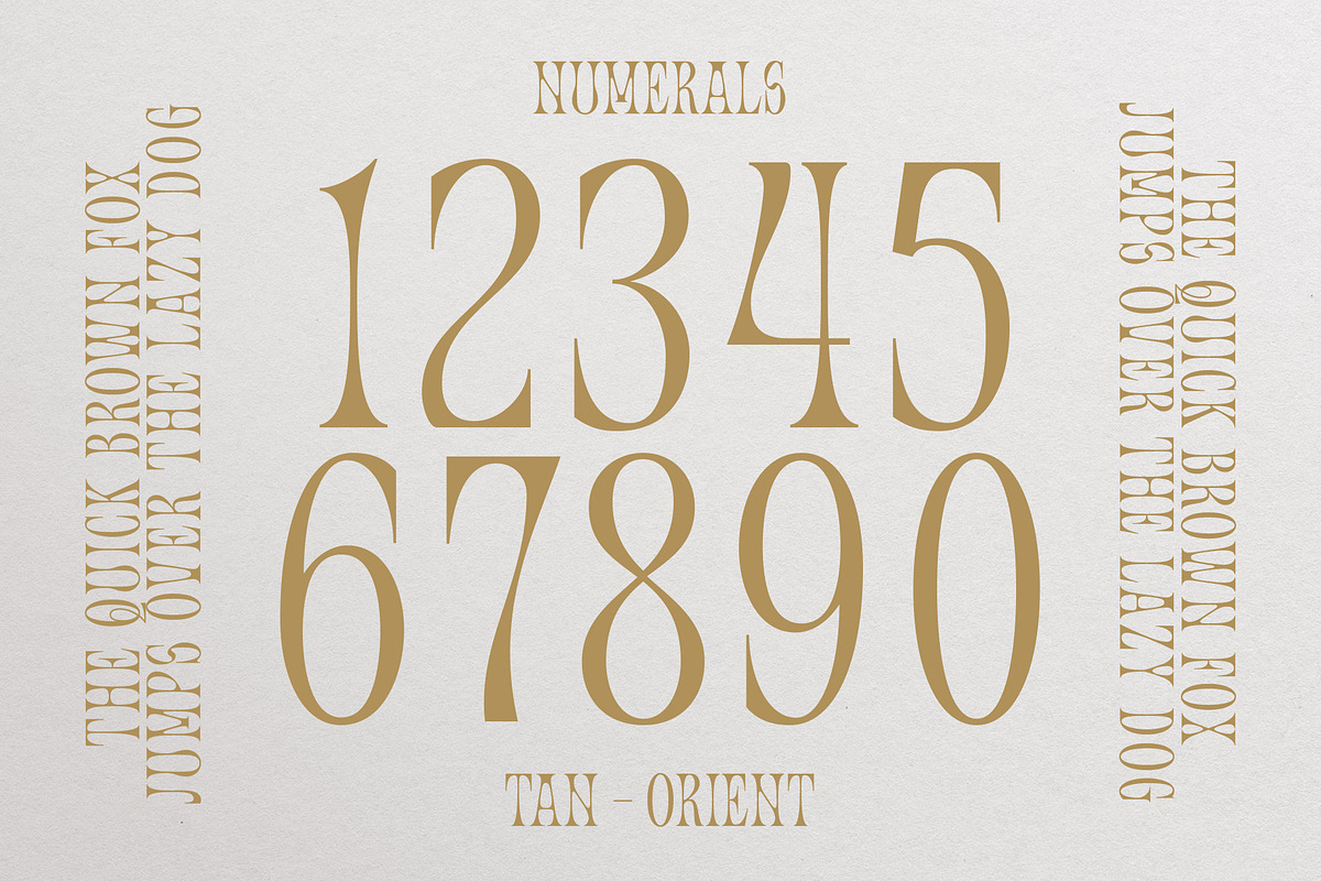 TAN - ORIENT, a Serif Font by TanType (Photo 10 of 11)