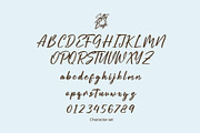 Salty Bash Tropical Script, a Script Font by Designsation (Thumbnail 7 of 10)