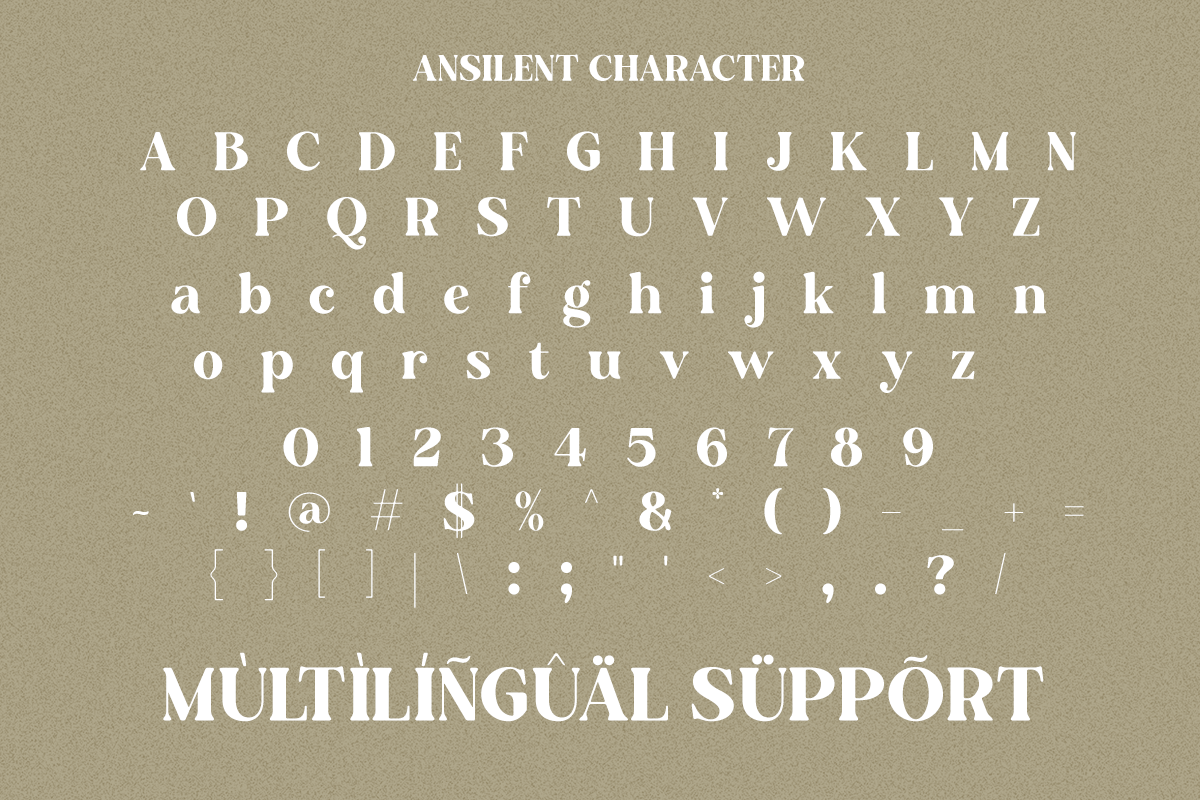 Ansilent - Modern Serif Font, a Serif Font by RagamKata (Photo 9 of 10)