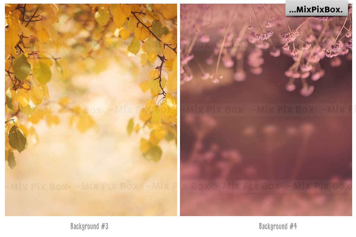 Autumn Portrait Backgrounds, a Background Graphic by MixPixBox (Photo 4 of 8)