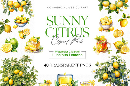 Watercolor Lemon Clipart, Citrus PNG, a Food Illustration by BrushstrokeArtGB