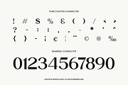 Valentra Modern Editorial Sans Font, a Sans Serif Font by Vadovastd (Thumbnail 3 of 10)