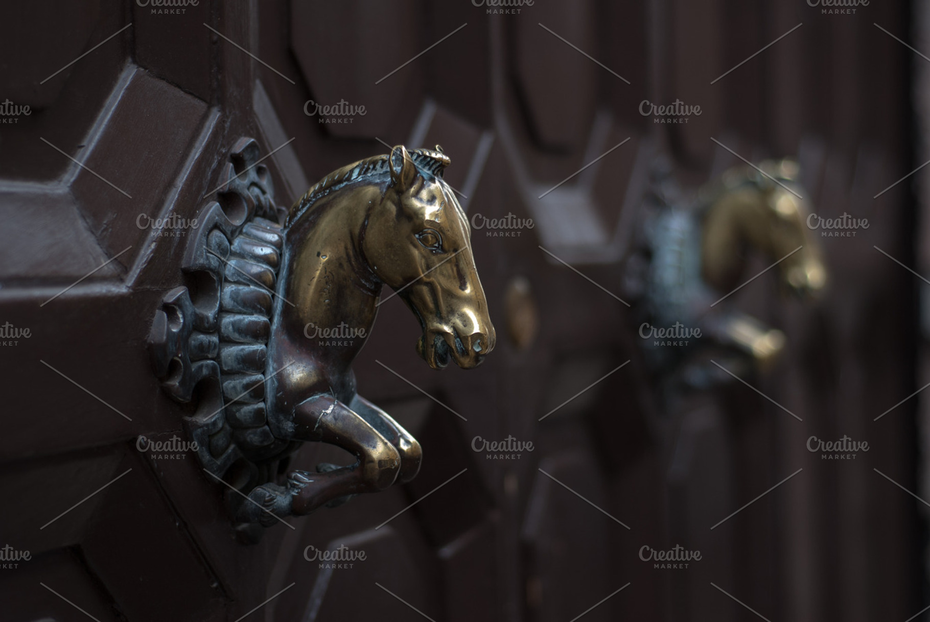 Horse Handle