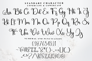 Signature, a Handwritten Font by FreshTypeINK (Thumbnail 5 of 8)