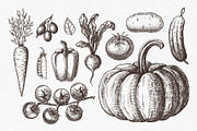 Vegetables. Hand drawn collection., a Food Illustration by natadanko (Thumbnail 2 of 7)