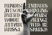 BRAMS - Display Serif (UPDATED!), a Serif Font by ErgibiStudio (Thumbnail 6 of 11)